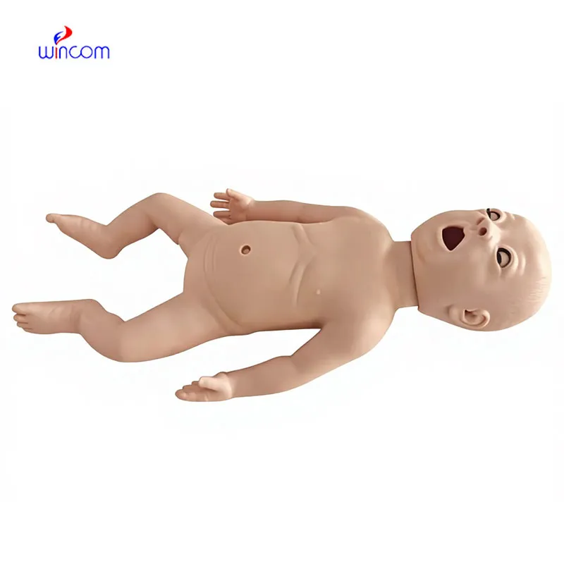 Applications of  panoramic dental x ray machine